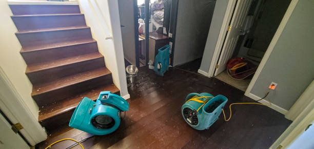 Best Wood Floor Water Damage Restoration in Soda Springs, ID